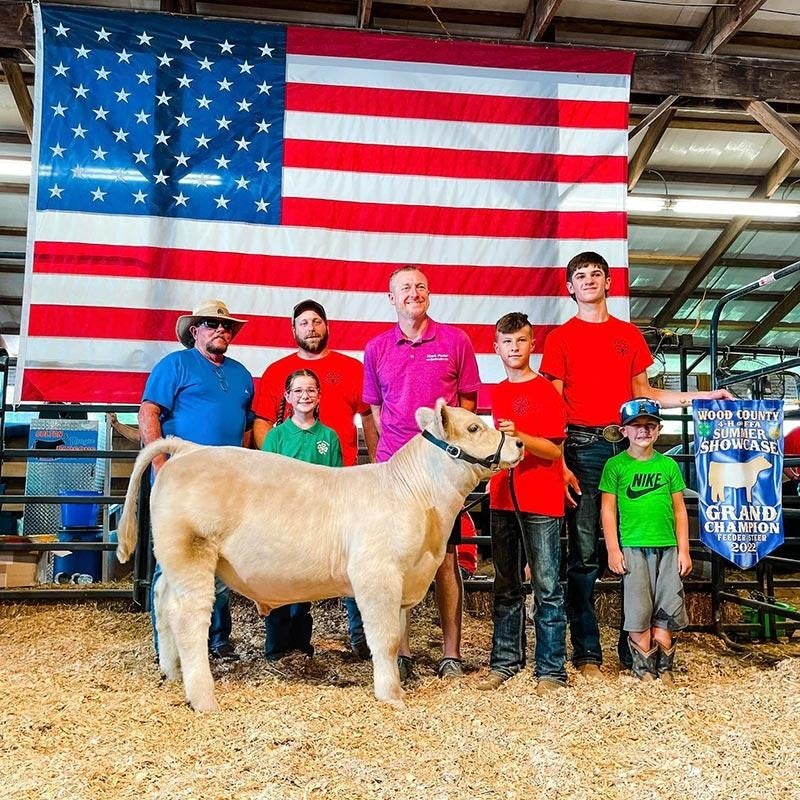 Brady's Grand Champion feeder steer